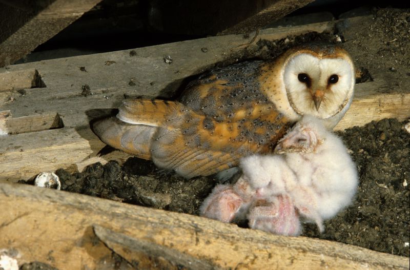 Warranty & Quality Checks