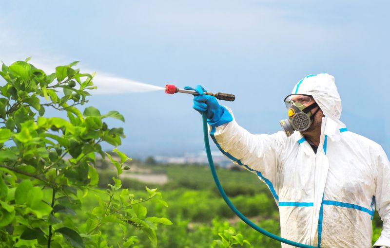 Fumigation Service in Toledo, OH