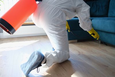 Residential Fumigation in Winston Salem, NC