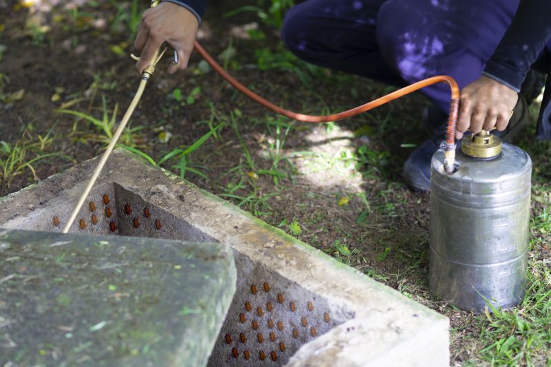 Spider Fumigation Service in Phoenix, AZ