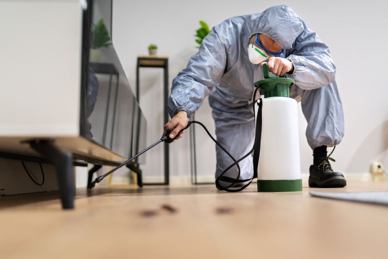 Spider Fumigation Service in Columbus, OH